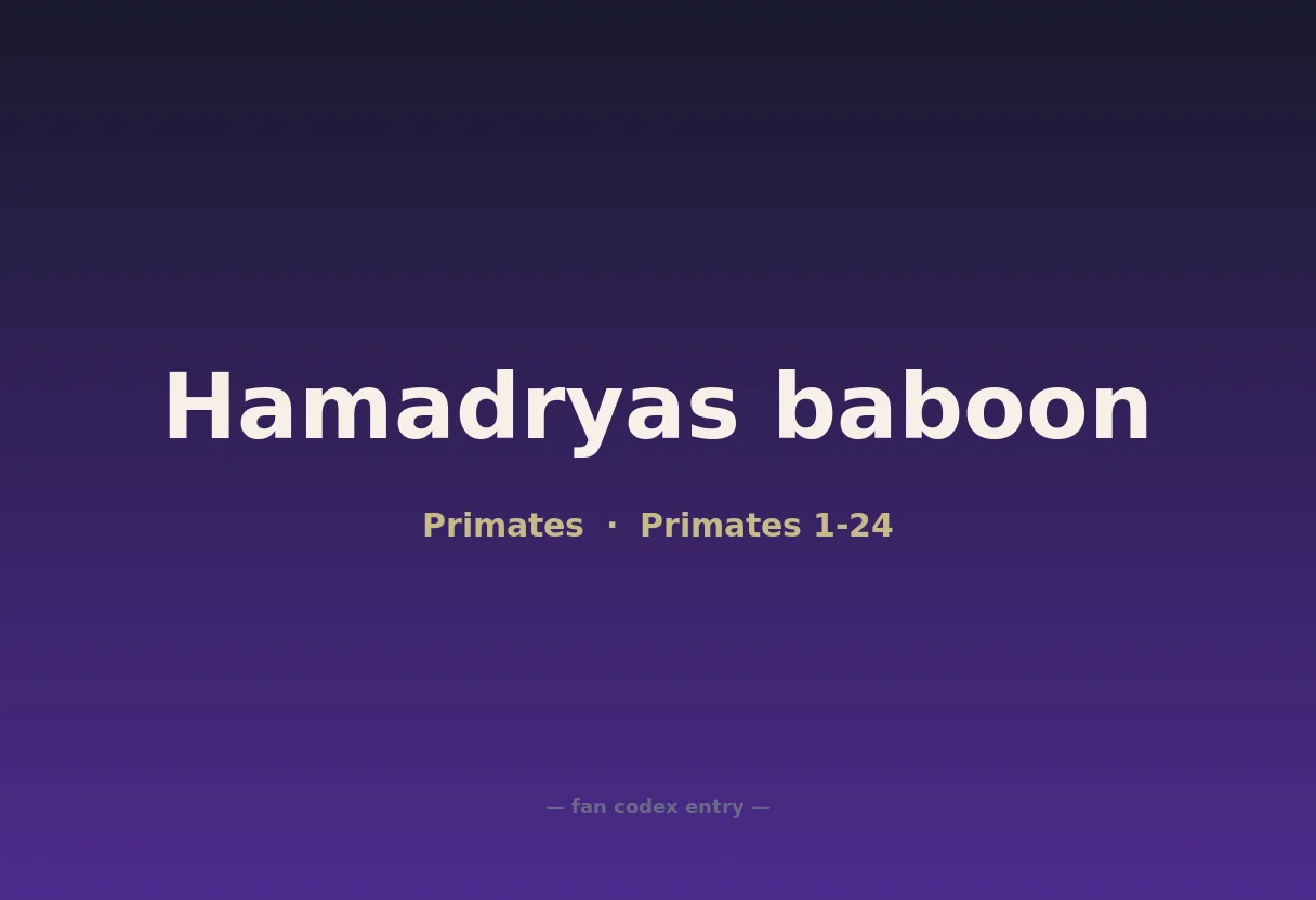 Hamadryas baboon