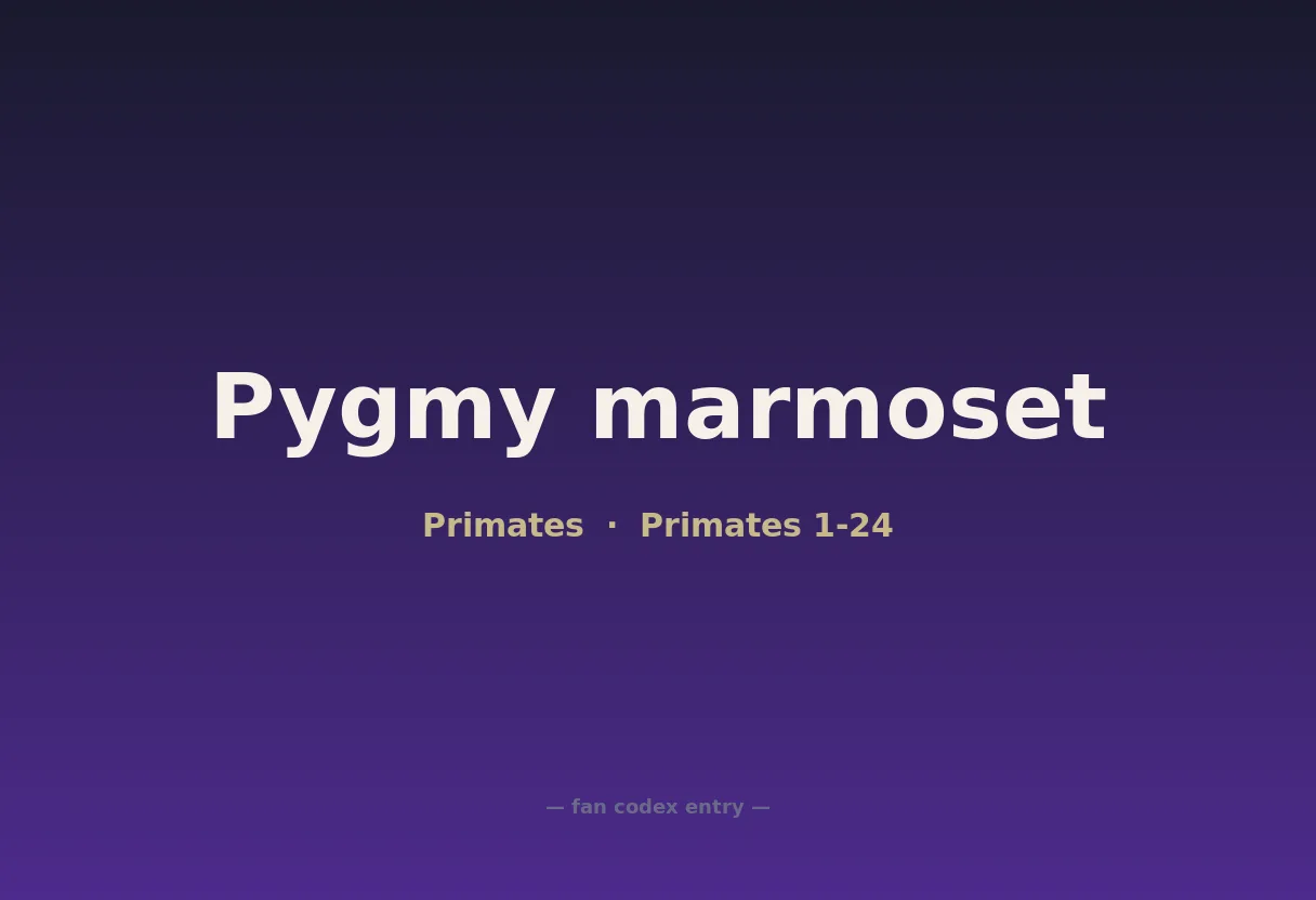 Pygmy marmoset