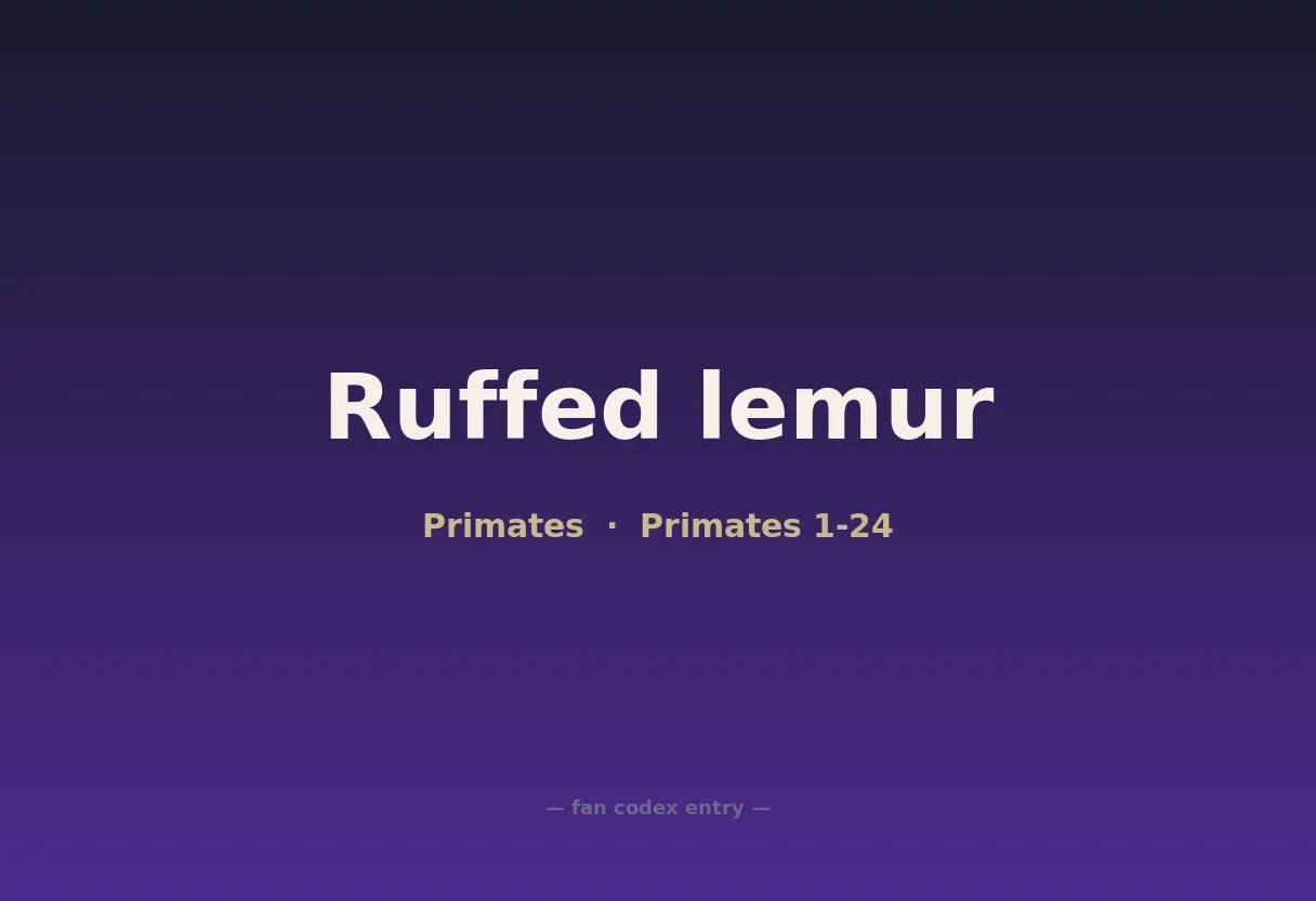 Ruffed lemur